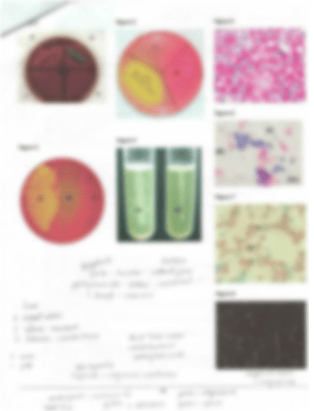 LAB EXAM #1.PDF_d2u5b7yeqqa_page5