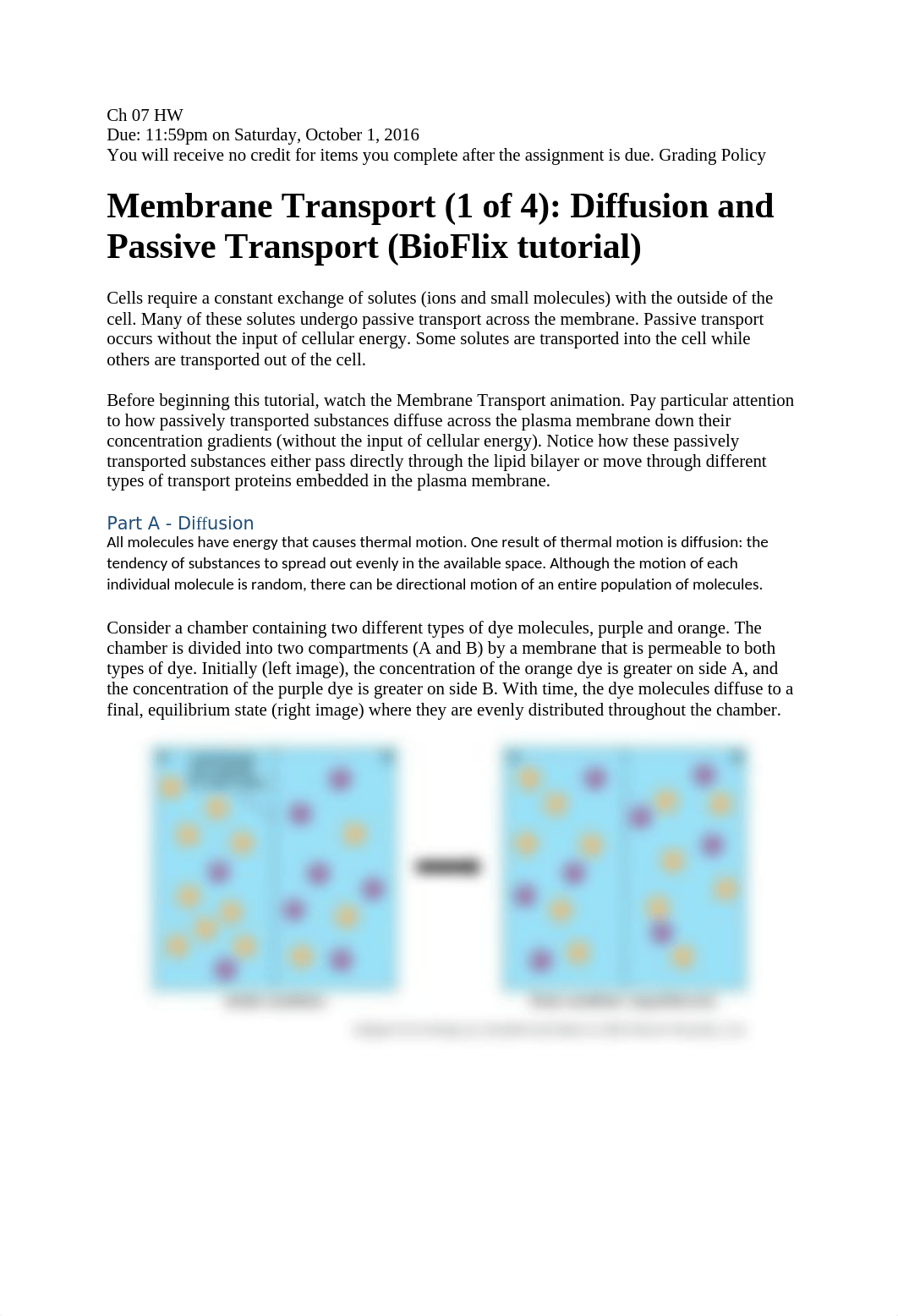 Chapter 7 Homework_d2u5rwymvf2_page1