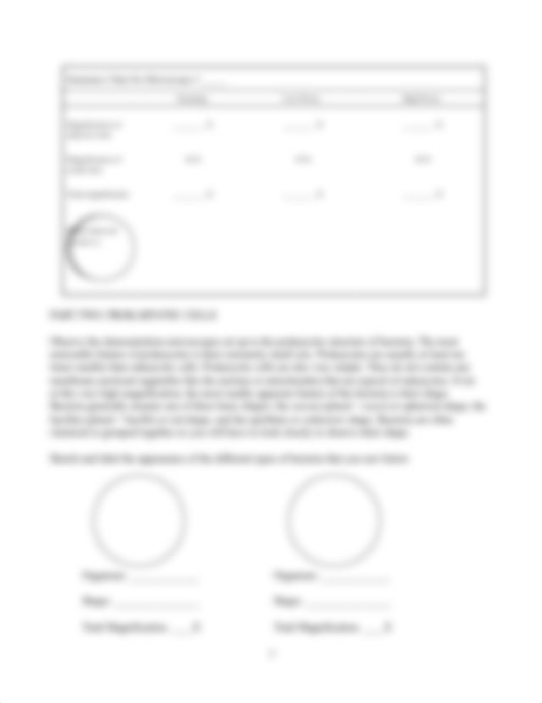 BIO 121 Microscopy Lab.doc_d2u5vbtj0iv_page2