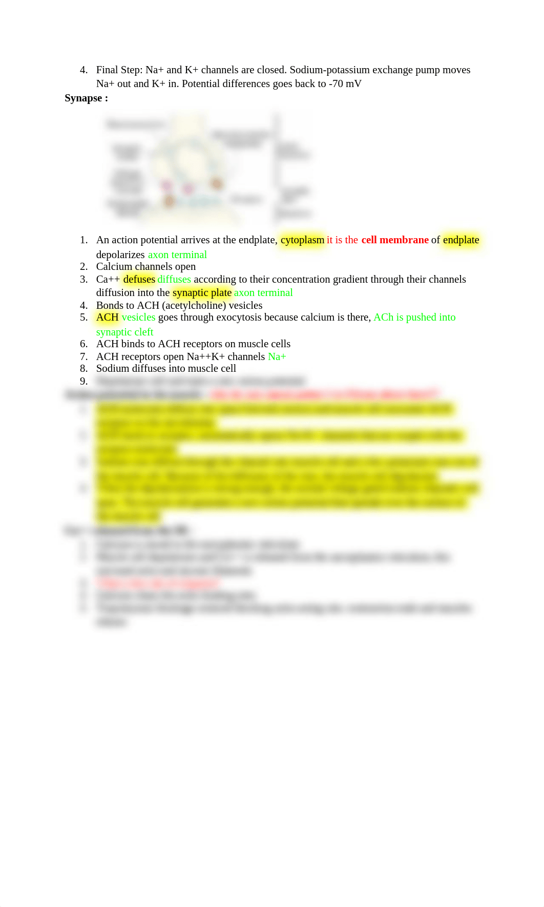 Action potential at the neuron :.docx_d2u5xg1rgt1_page2