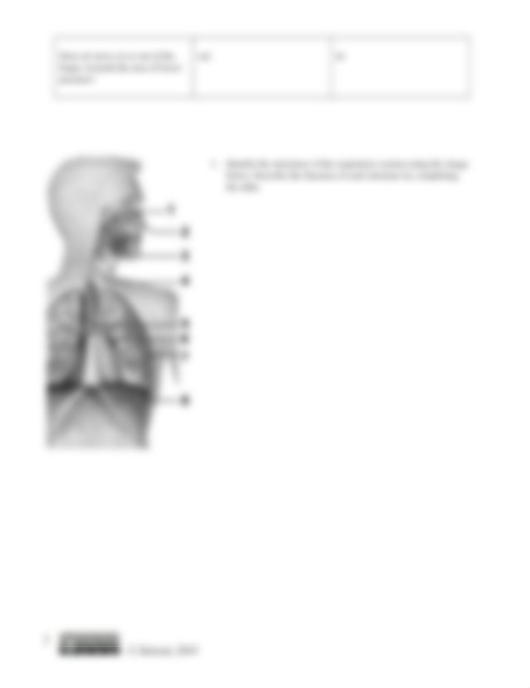 Week 9 Concept Check Respiratory.docx_d2u9y8qtr30_page2