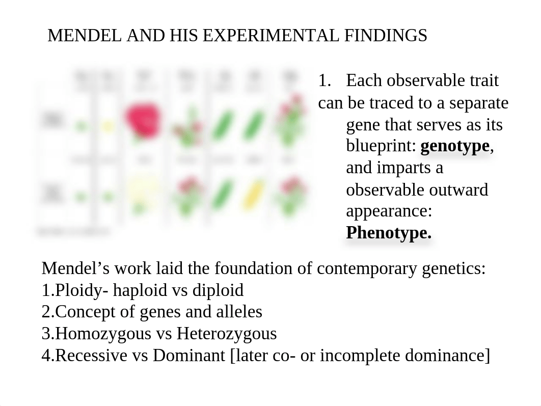 Cancer Biology - Chapter 1.ppt_d2uac5ho0xy_page5