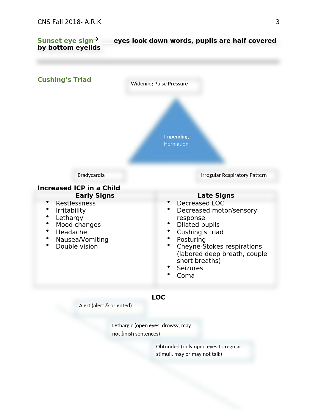 Central Nervous System Handout.docx_d2ufxu3dgfp_page3