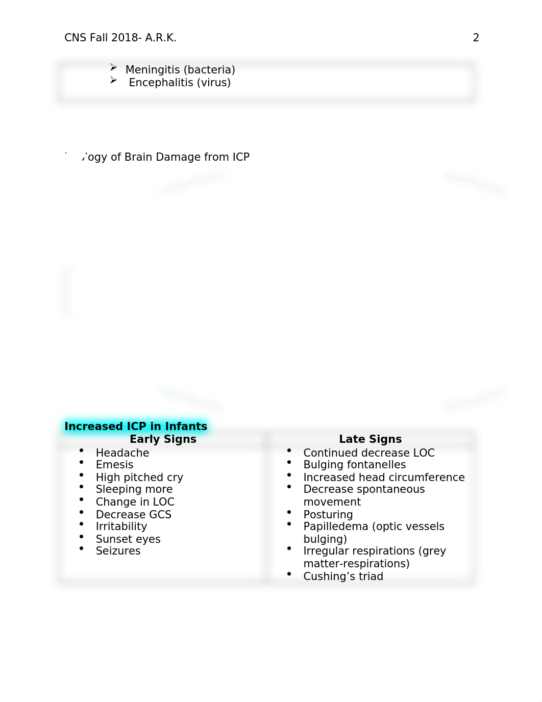 Central Nervous System Handout.docx_d2ufxu3dgfp_page2