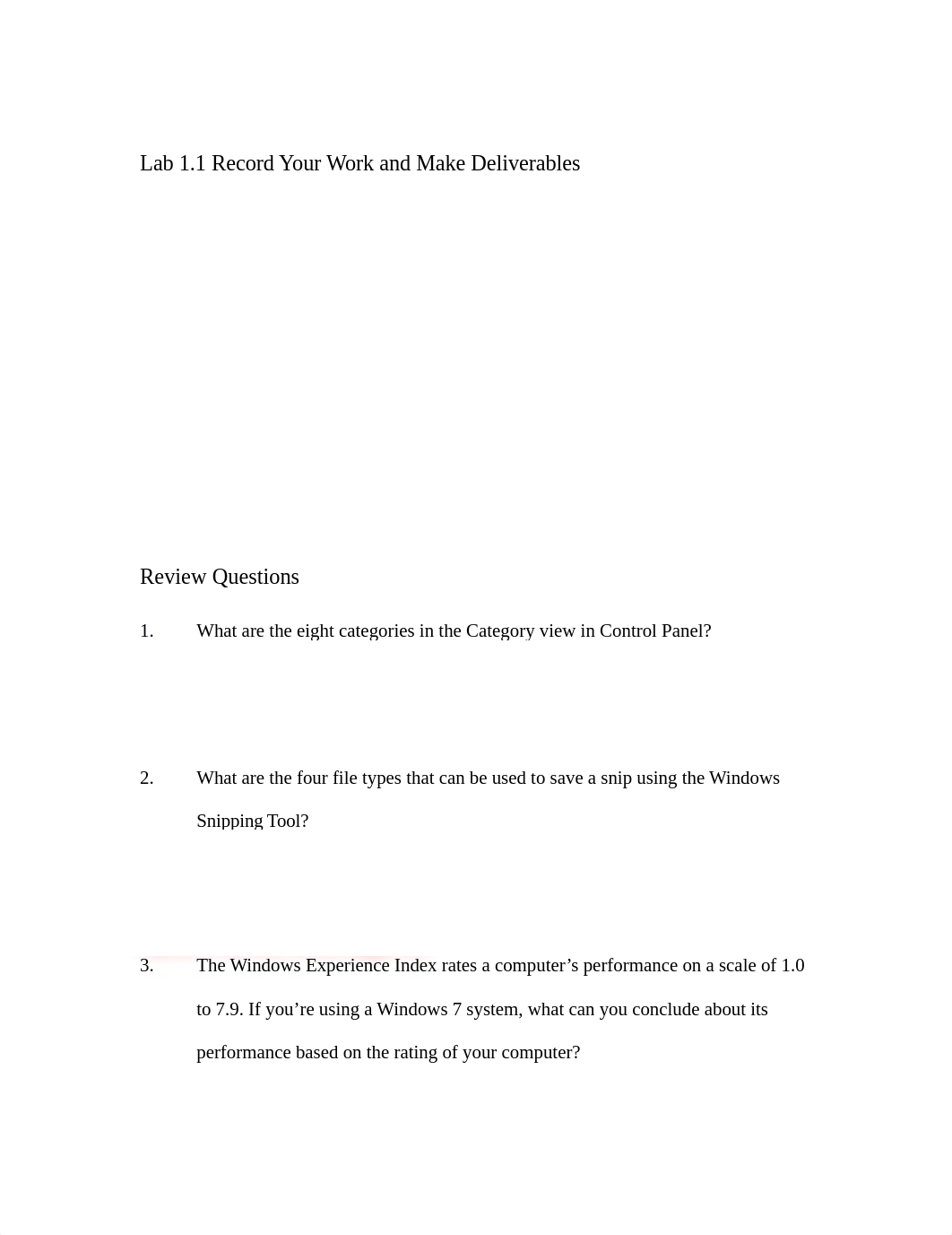 Ch 1 Lab(1) (1) (1).docx_d2ugmhu8fgo_page1