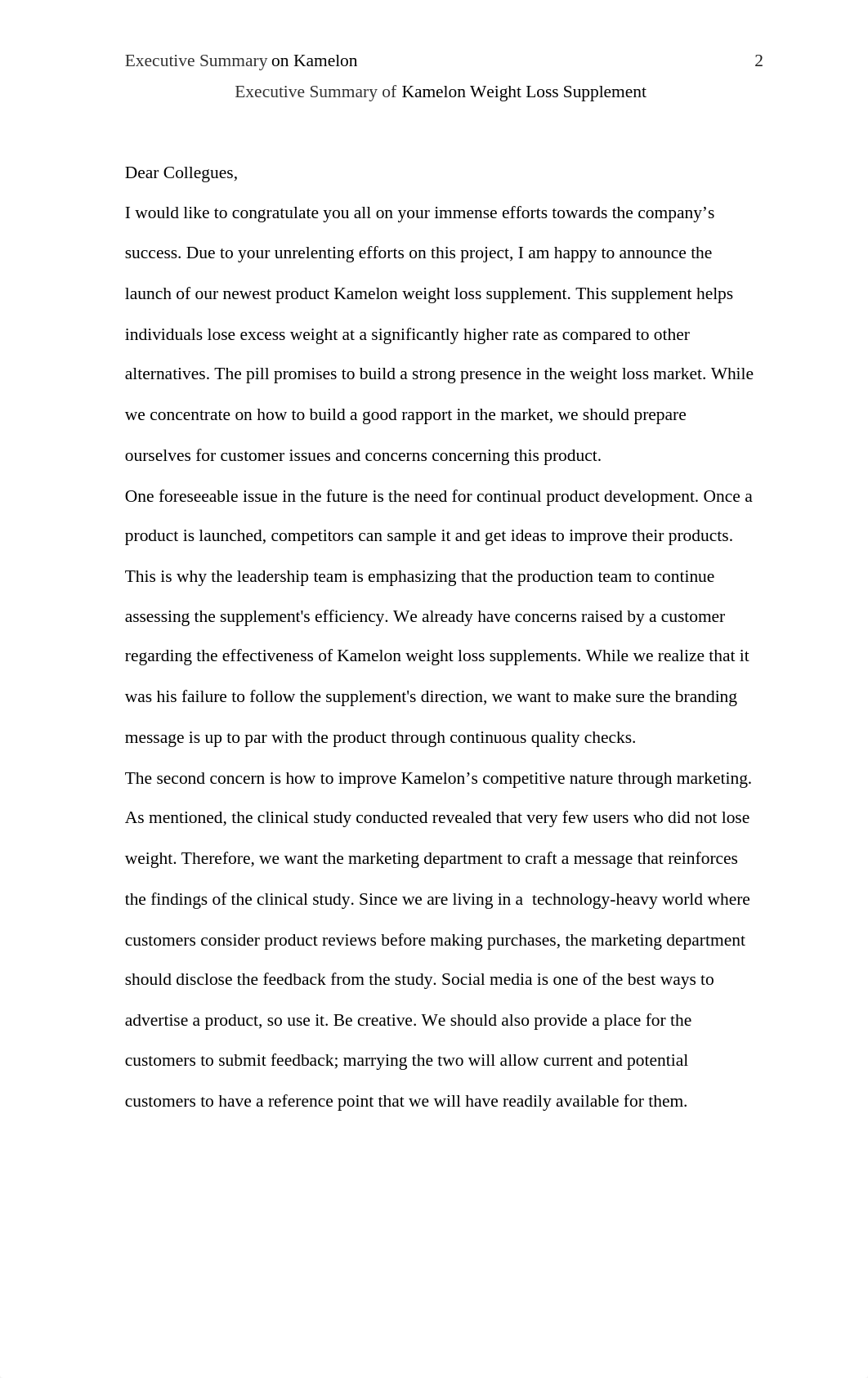 Kamelon Executive Summary - CH.docx_d2uhvwht116_page2