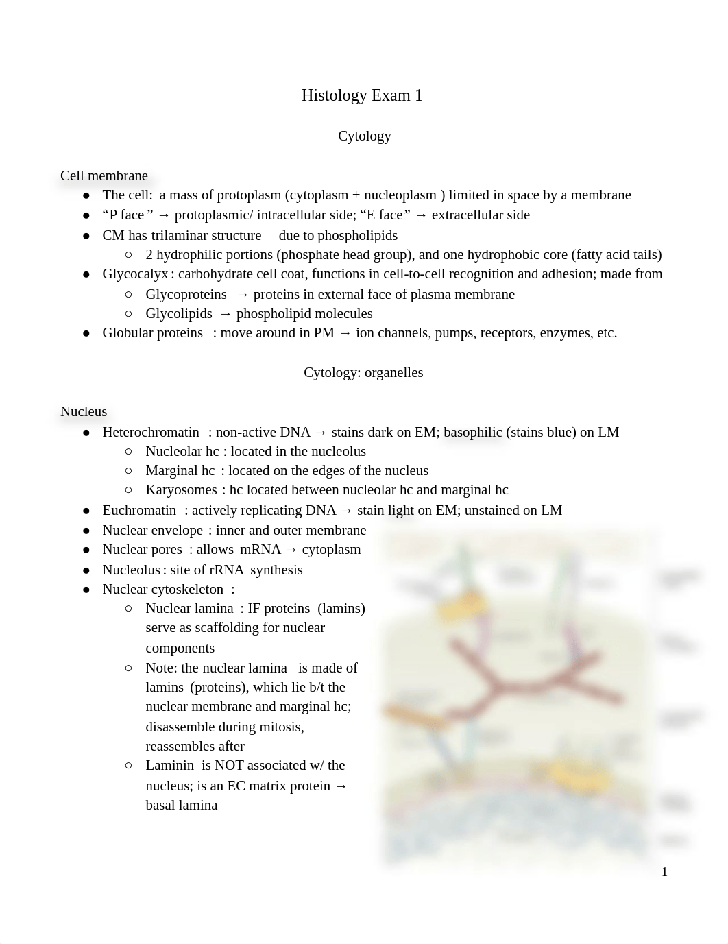 Histo Exam 1.pdf_d2v9zwpa0g0_page1