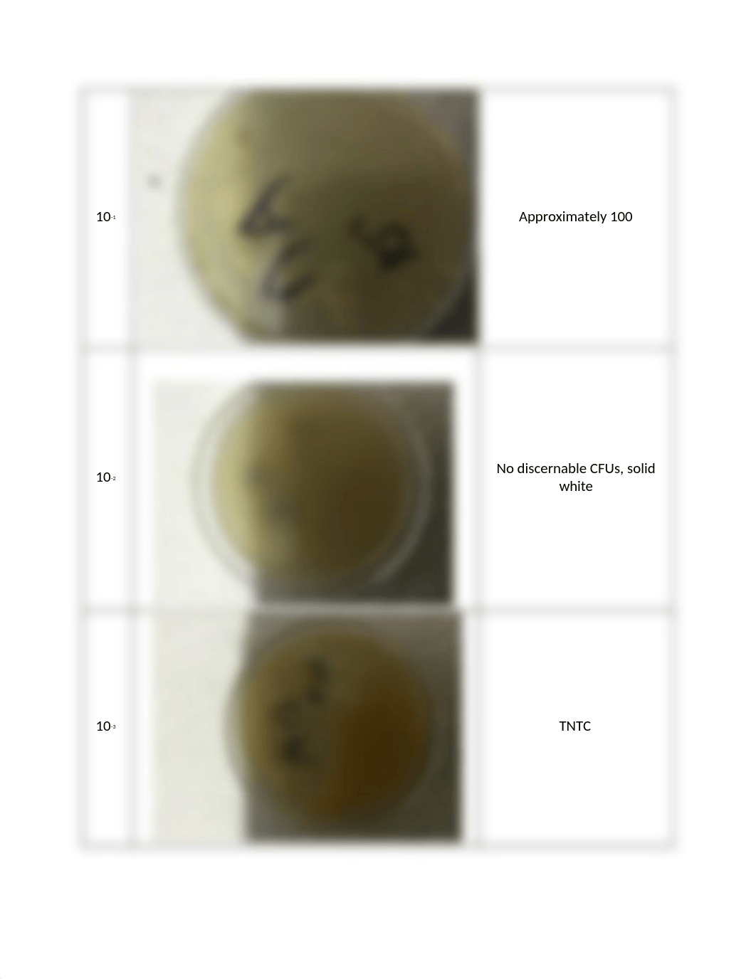 micro.lab4_d2vb6refwtj_page2