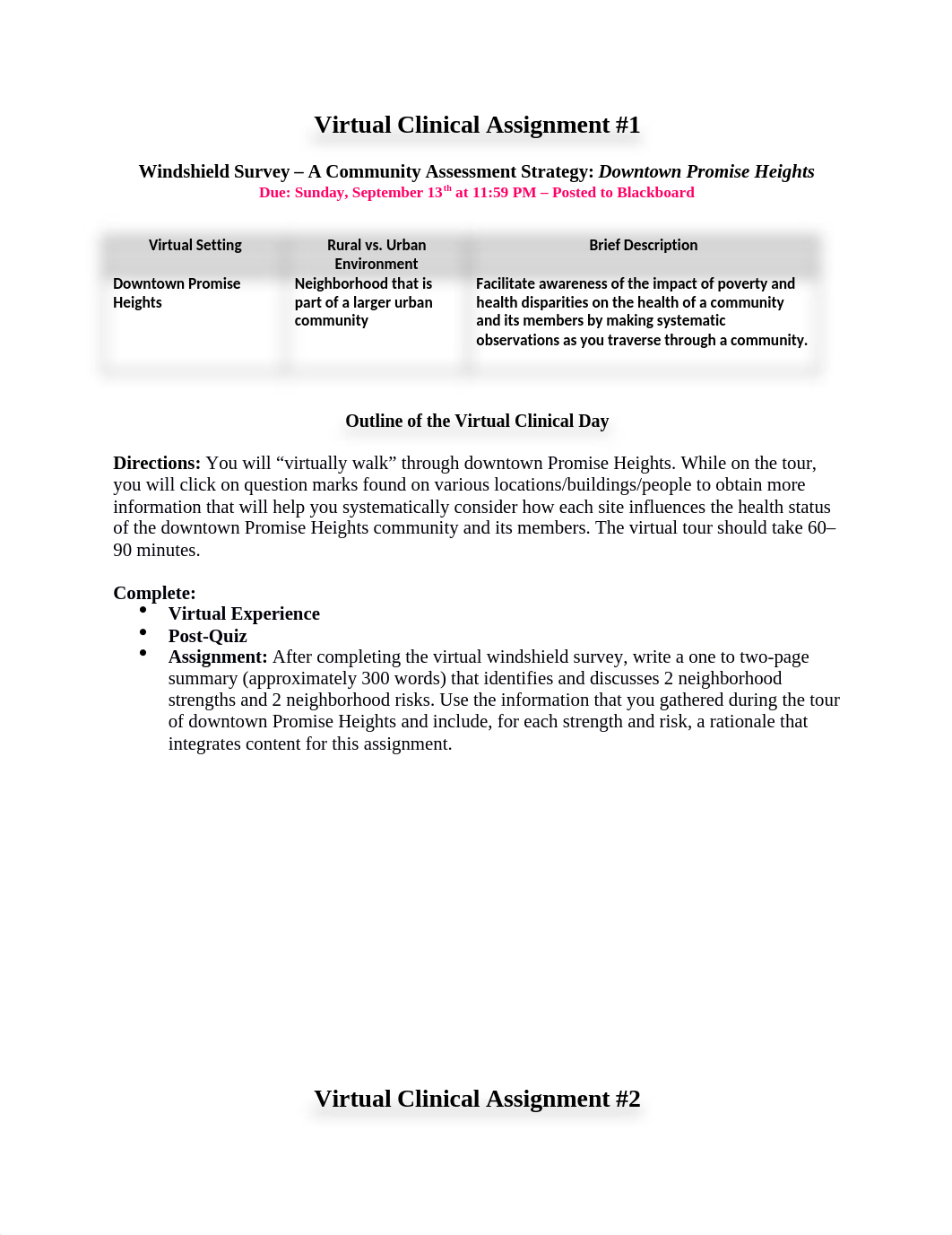 Virtual Clinical Assignments (5).docx_d2vberz0dx9_page1