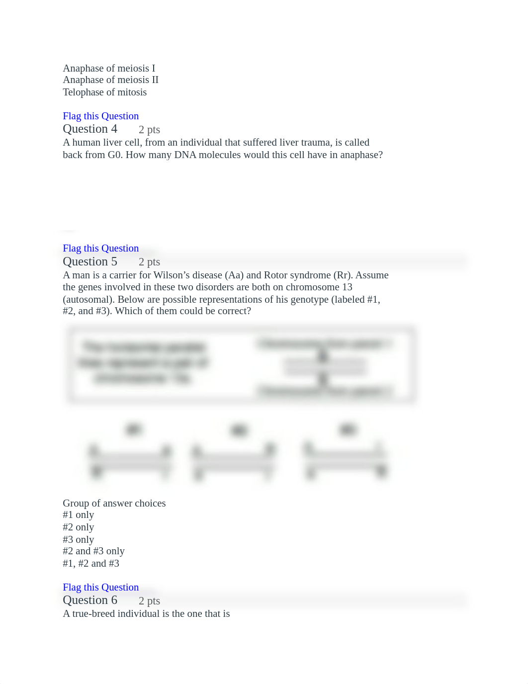 Exam 1 Genetics.docx_d2vdohlhd8w_page2