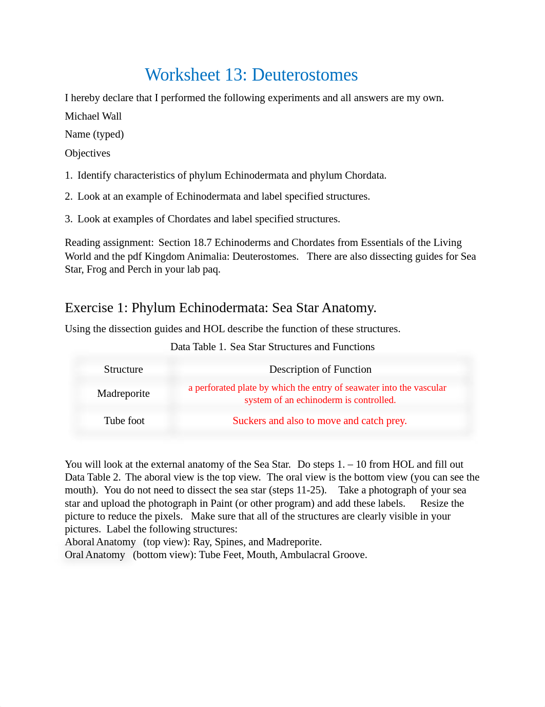 Worksheet 13 - Deuterostomes.docx_d2vedcr1ojq_page1