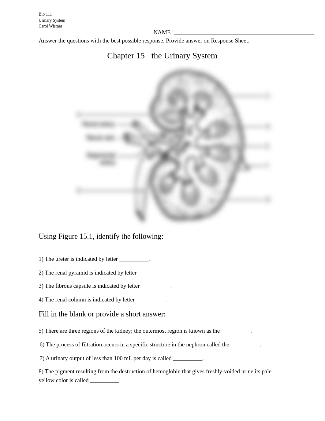 Ch 15_Urinary_wks.doc_d2vilfk9xuk_page1