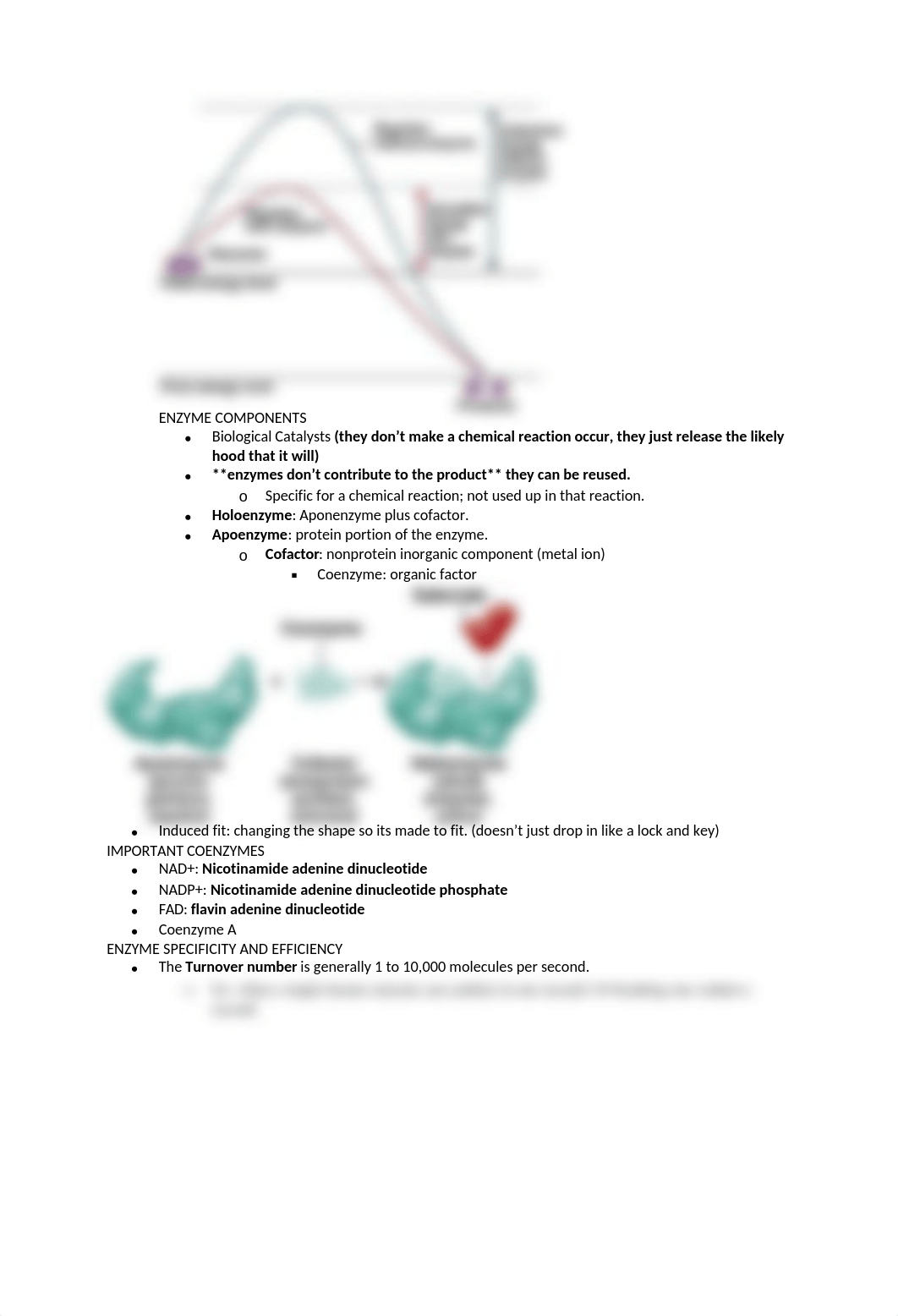 EXAM 2 MICRO NOTES.docx_d2vk6i8cwt7_page2