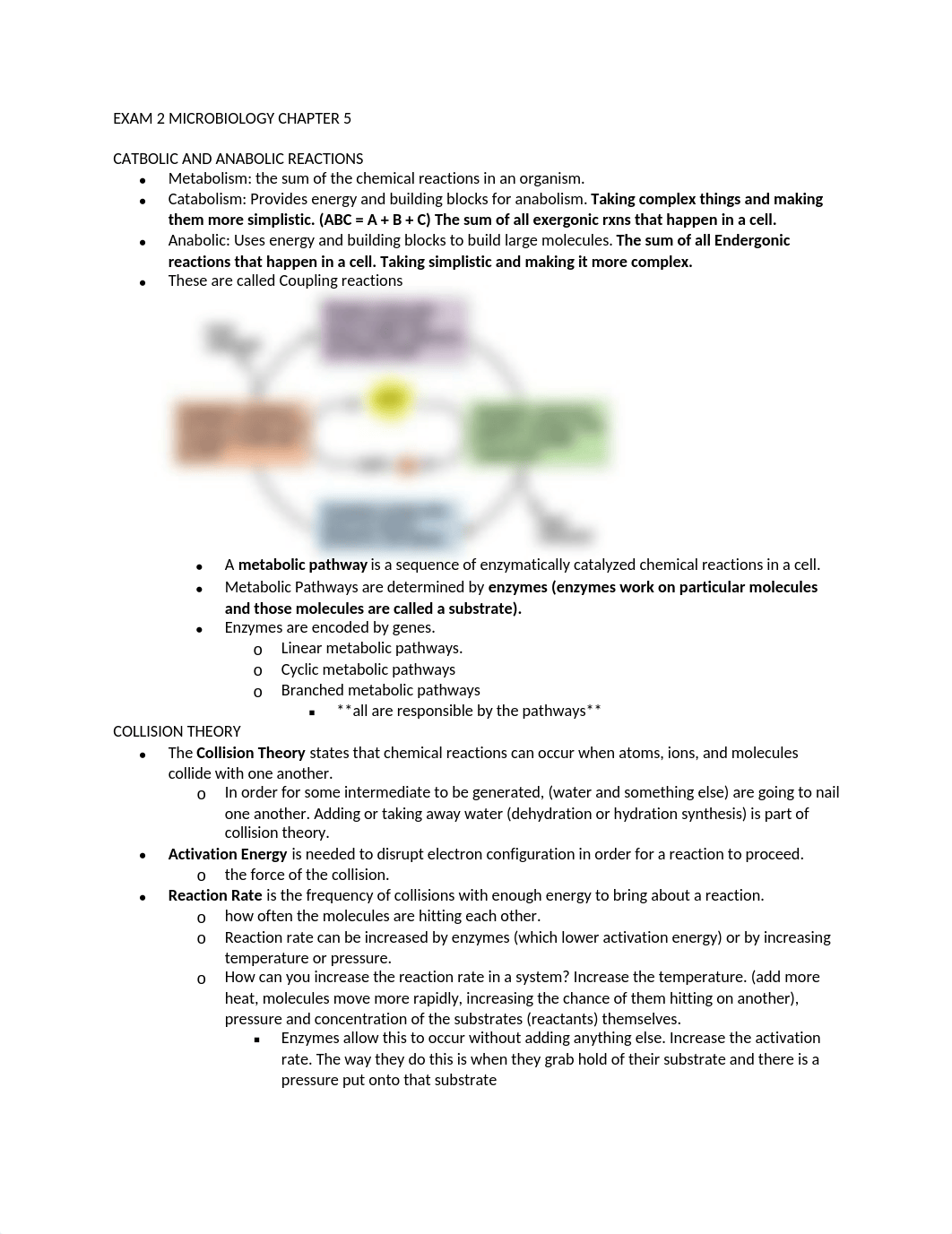 EXAM 2 MICRO NOTES.docx_d2vk6i8cwt7_page1