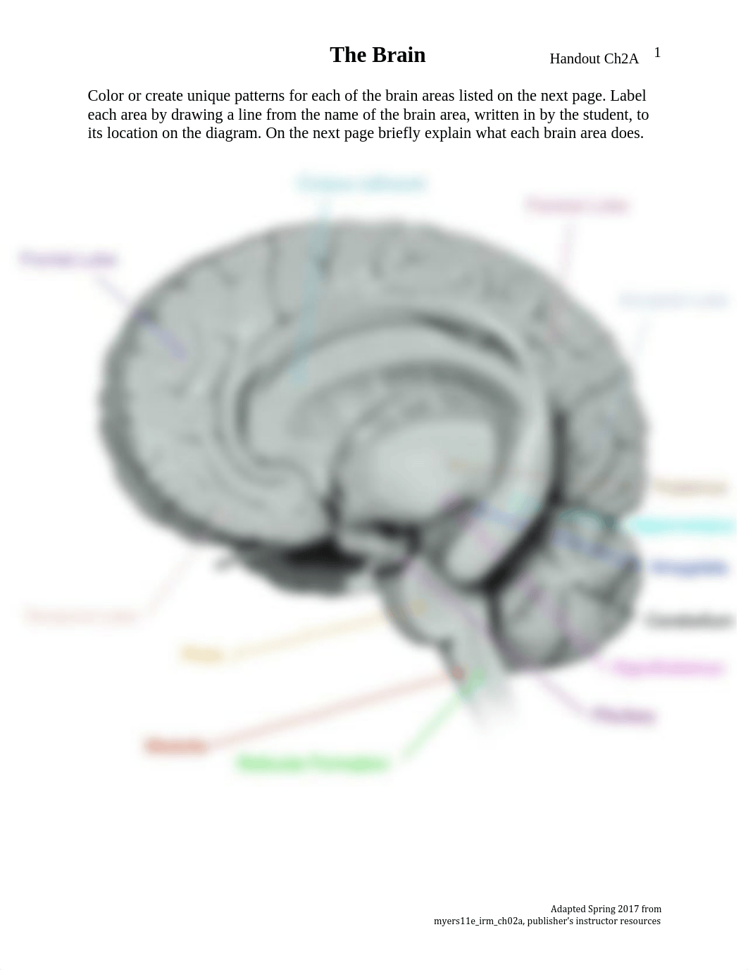 Shubby Keith - CH2A handout- Brain -PDF.pdf_d2vlp5o8h7a_page1