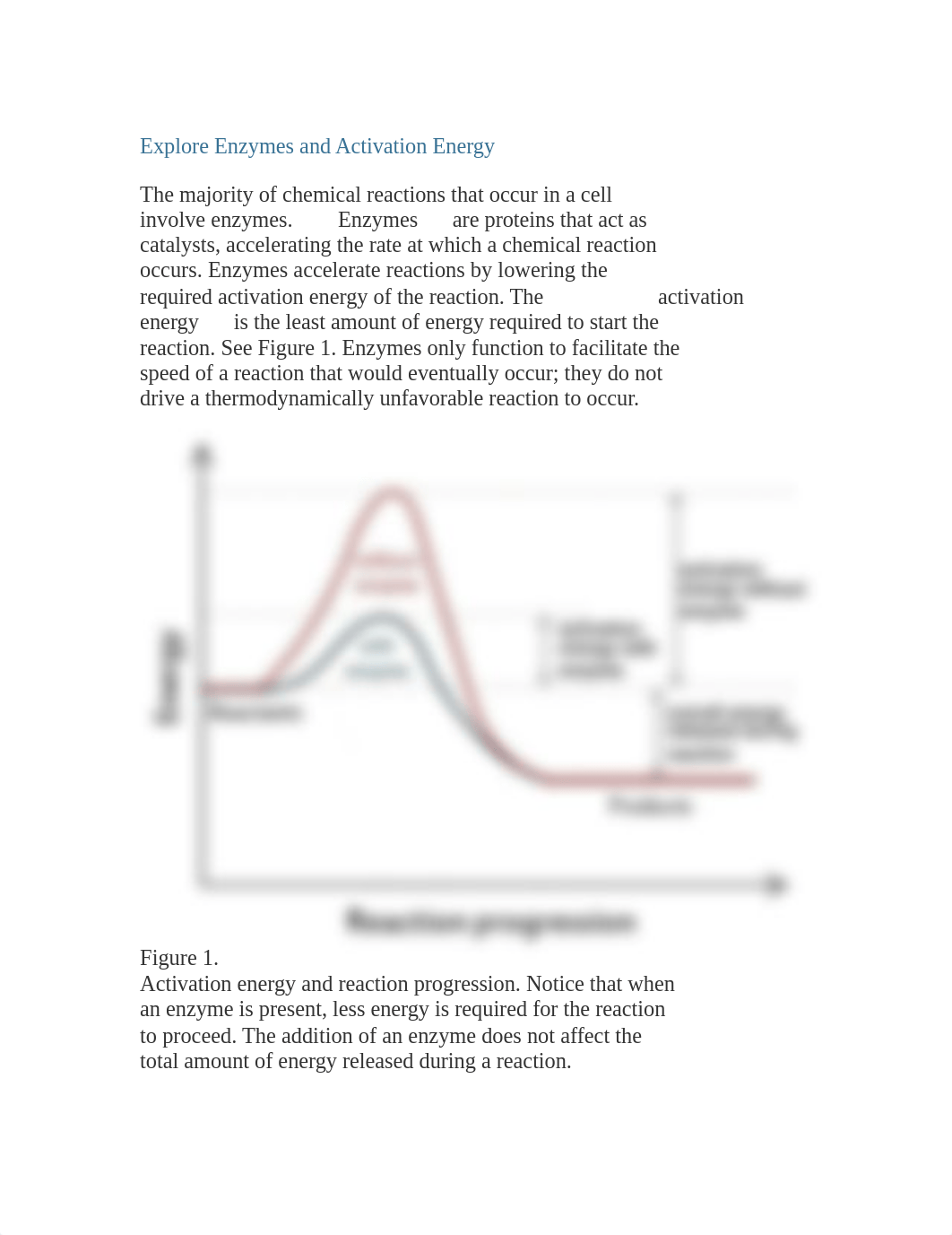 Bio Exp 4.docx_d2vmd7z5oty_page1