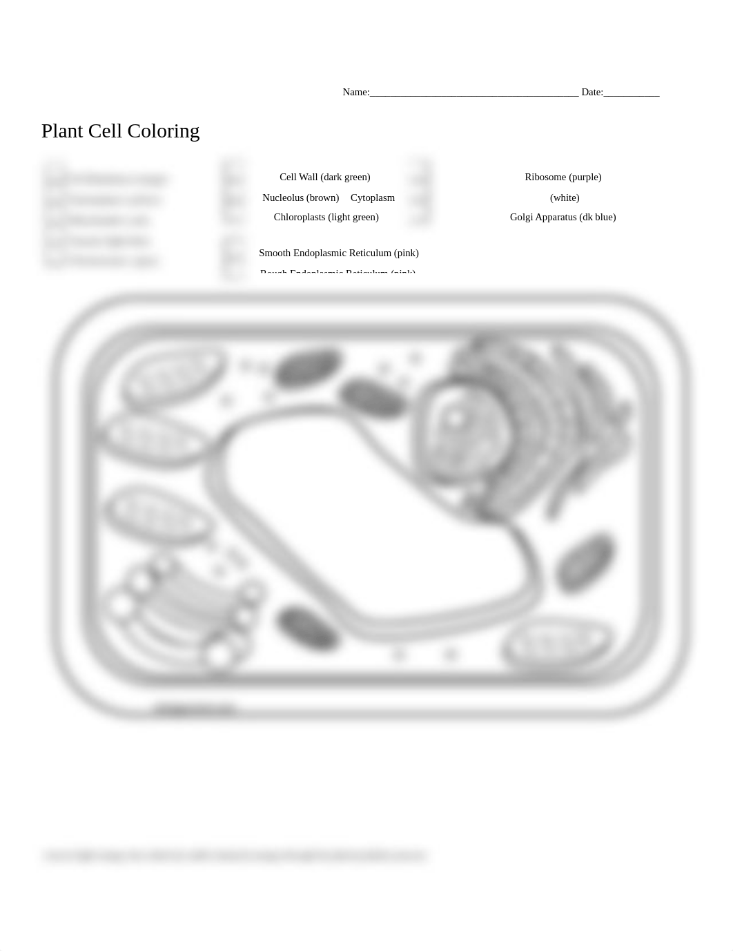 Plant Cell Coloring-Jacobs.docx_d2vowc7lrgj_page1