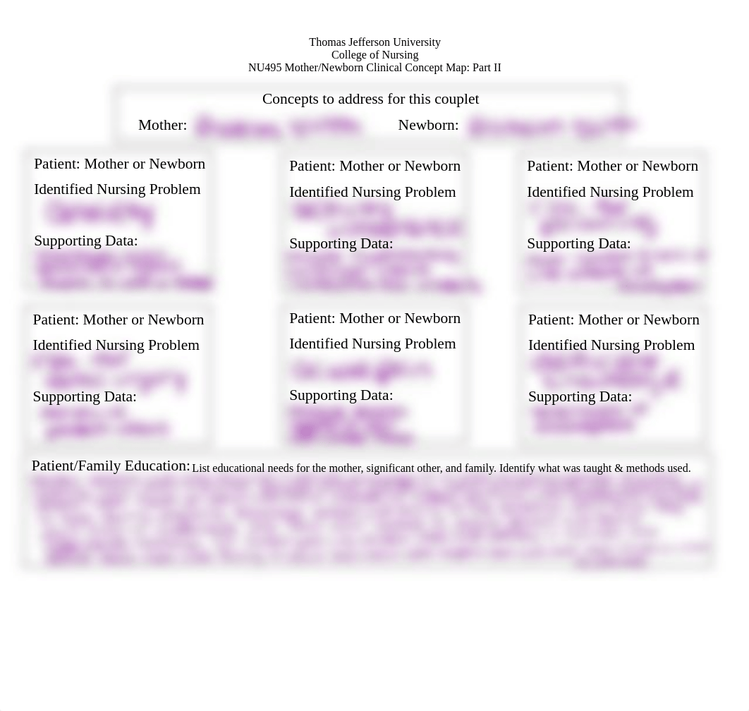 Mother-NB Concept Map- Preterm Labor.pdf_d2vrggg173k_page1