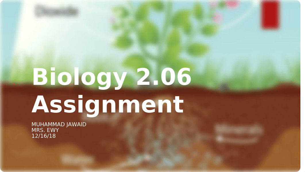 Biology 2.06 Presentation (Photosynthesis & Cellular Respiration).pptx_d2vv2162gdw_page1