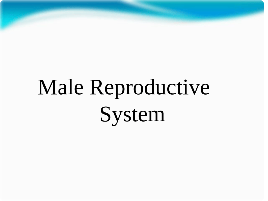 Chapter 28 - Reproductive Systems - Notes_d2w2inr784l_page4