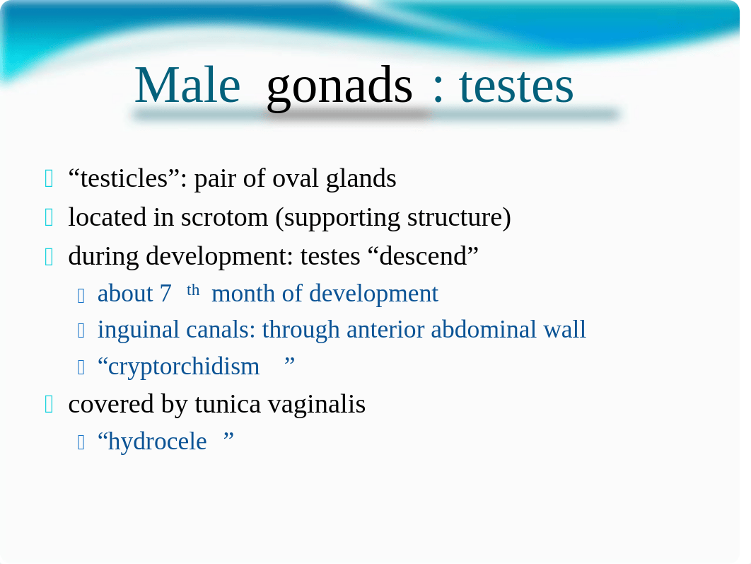 Chapter 28 - Reproductive Systems - Notes_d2w2inr784l_page5