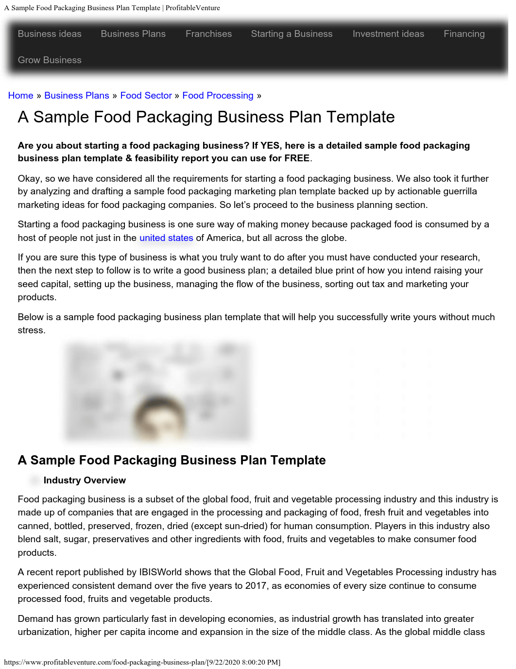 A Sample Food Packaging Business Plan Template  ProfitableVenture.pdf_d2w9z1ag85m_page1