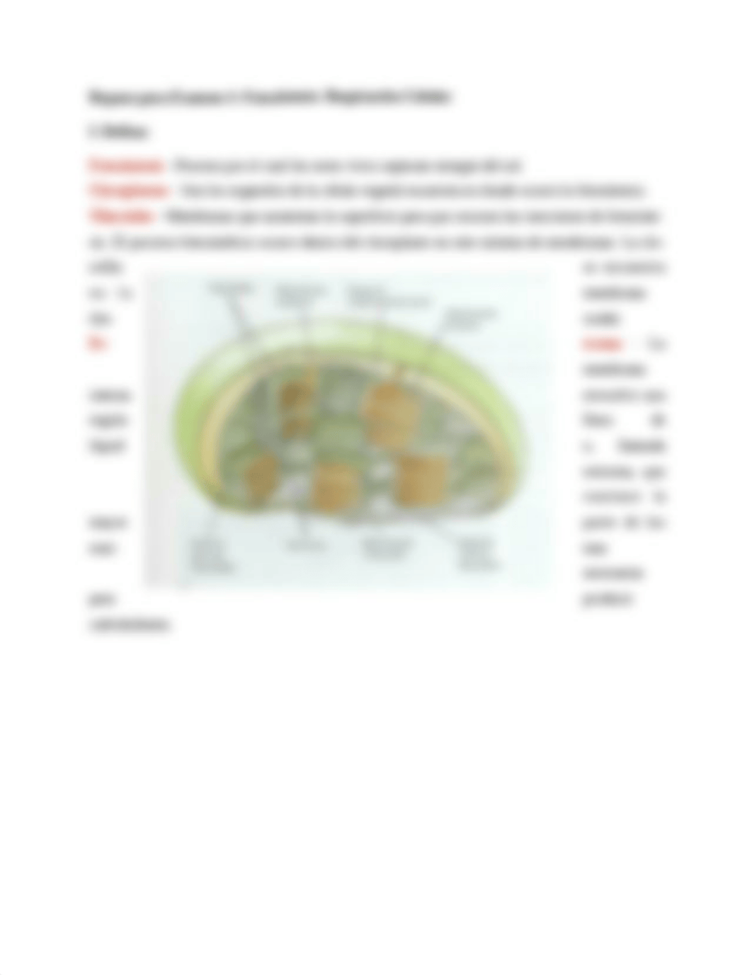 Repaso BIOL Examen 4.docx_d2wlt1yrqt7_page1