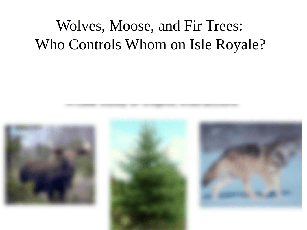 wolf moose fir.pptx_d2wmvmaglt2_page1