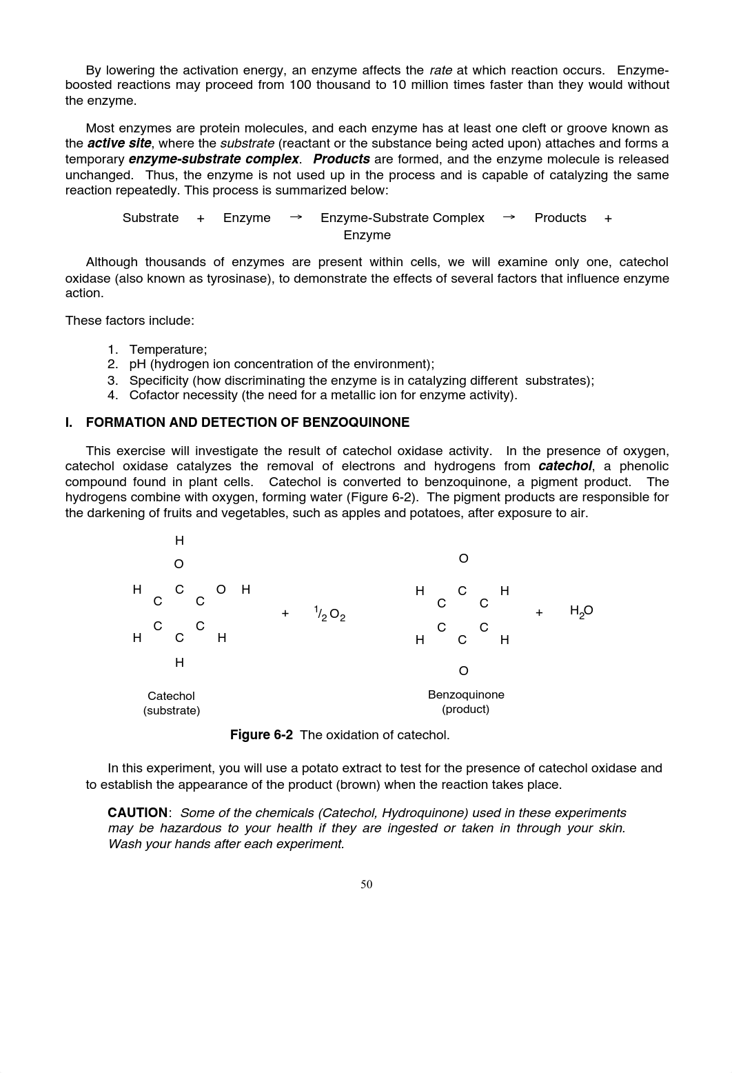 Enzymes Biological Catalysts of Life Lab.pdf_d2wveiggrtj_page2