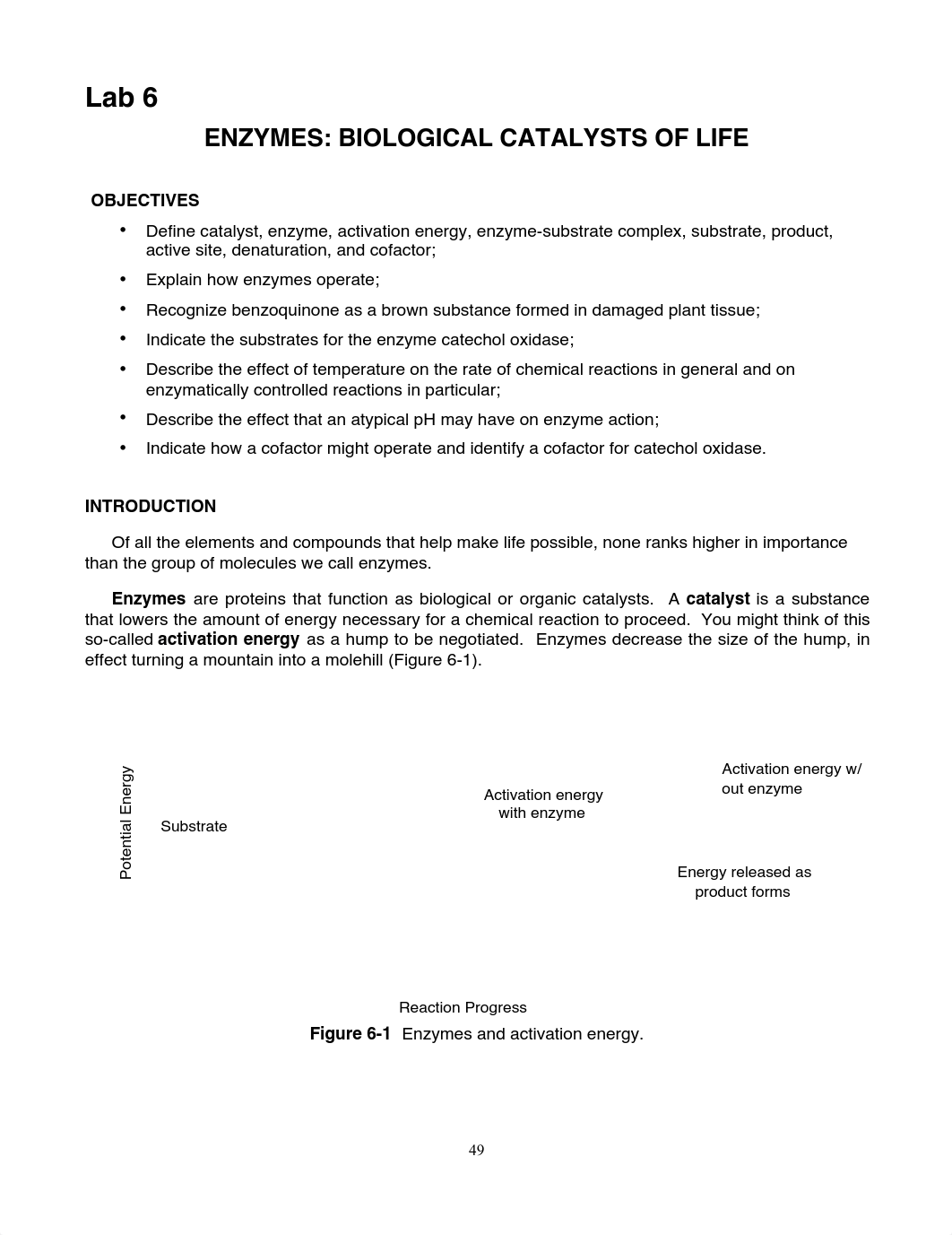 Enzymes Biological Catalysts of Life Lab.pdf_d2wveiggrtj_page1