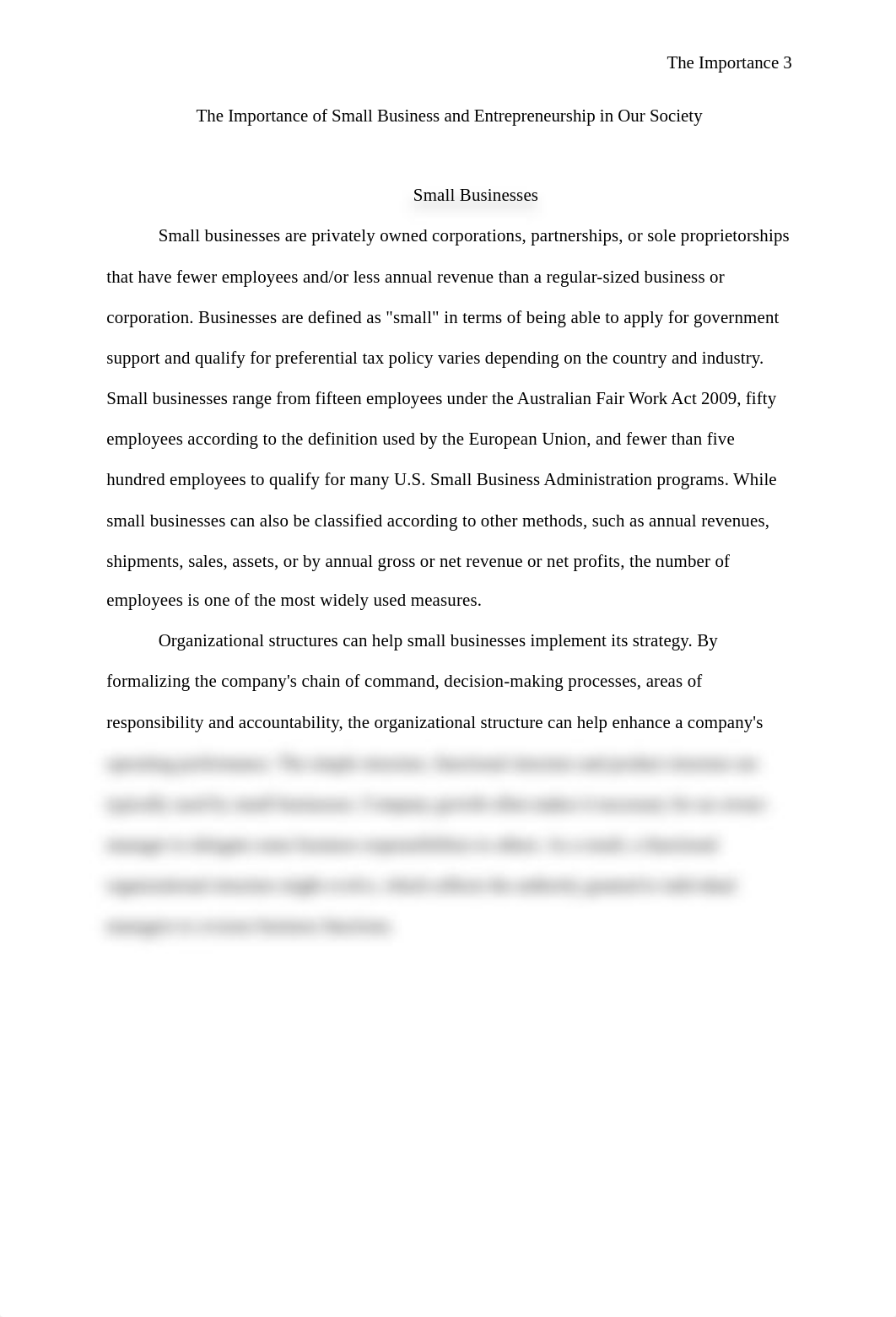 The Importance of Small Business in US.docx_d2wwqmfatfy_page3