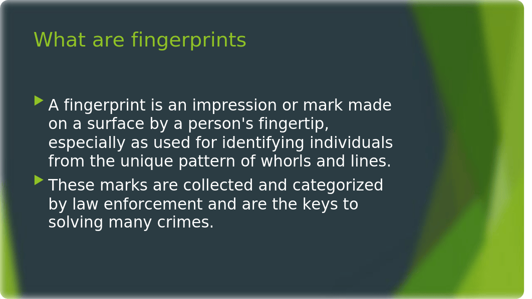 Fingerprint Portfolio.pptx_d2wxlylfndf_page2