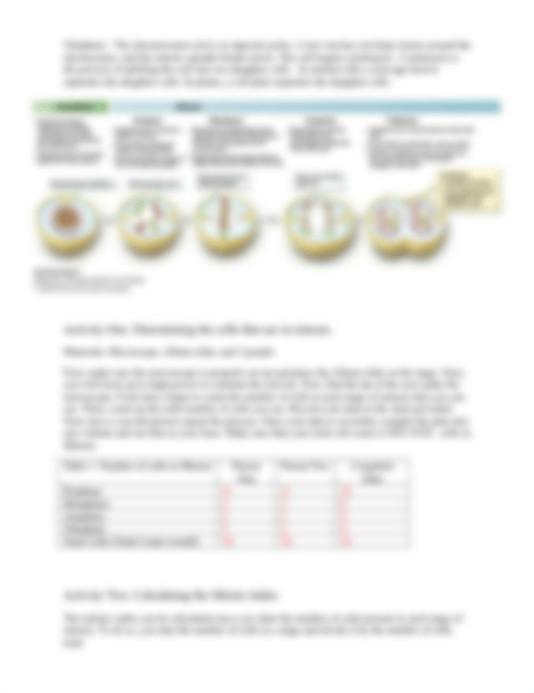 Mitosis Lab answers (5).docx_d2x0rweanwn_page4