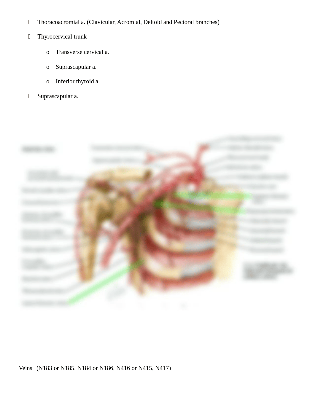 Checklist Lab Exam #2.docx_d2xd42r3zzt_page4