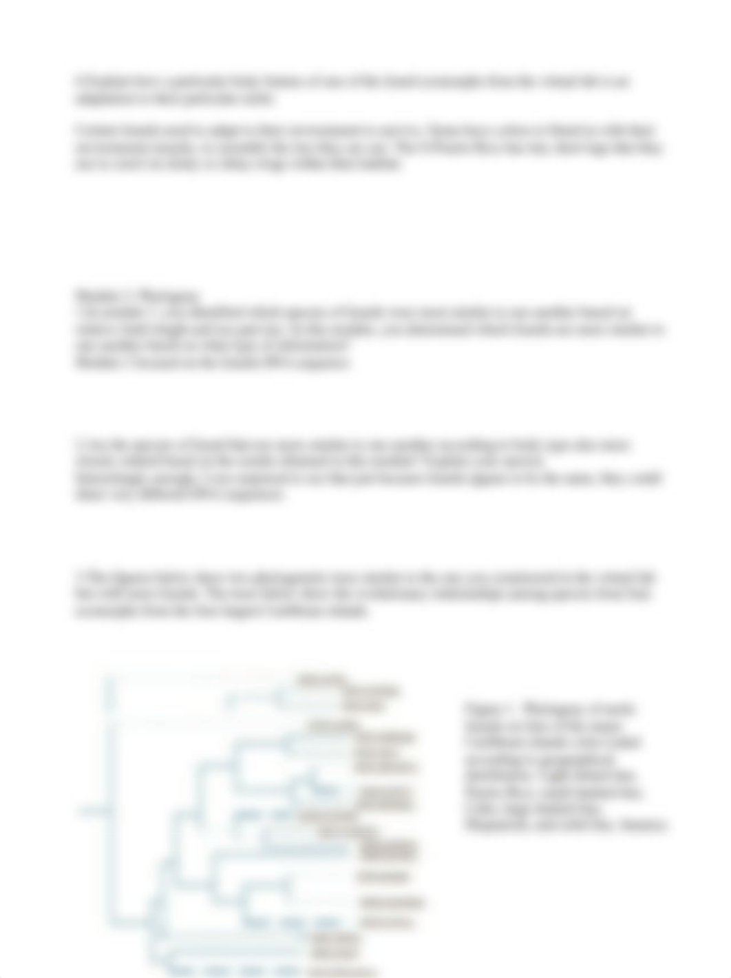 Lizard Evolution Virtual Lab (1)_kelley1.docx_d2xgtwbw6t0_page2