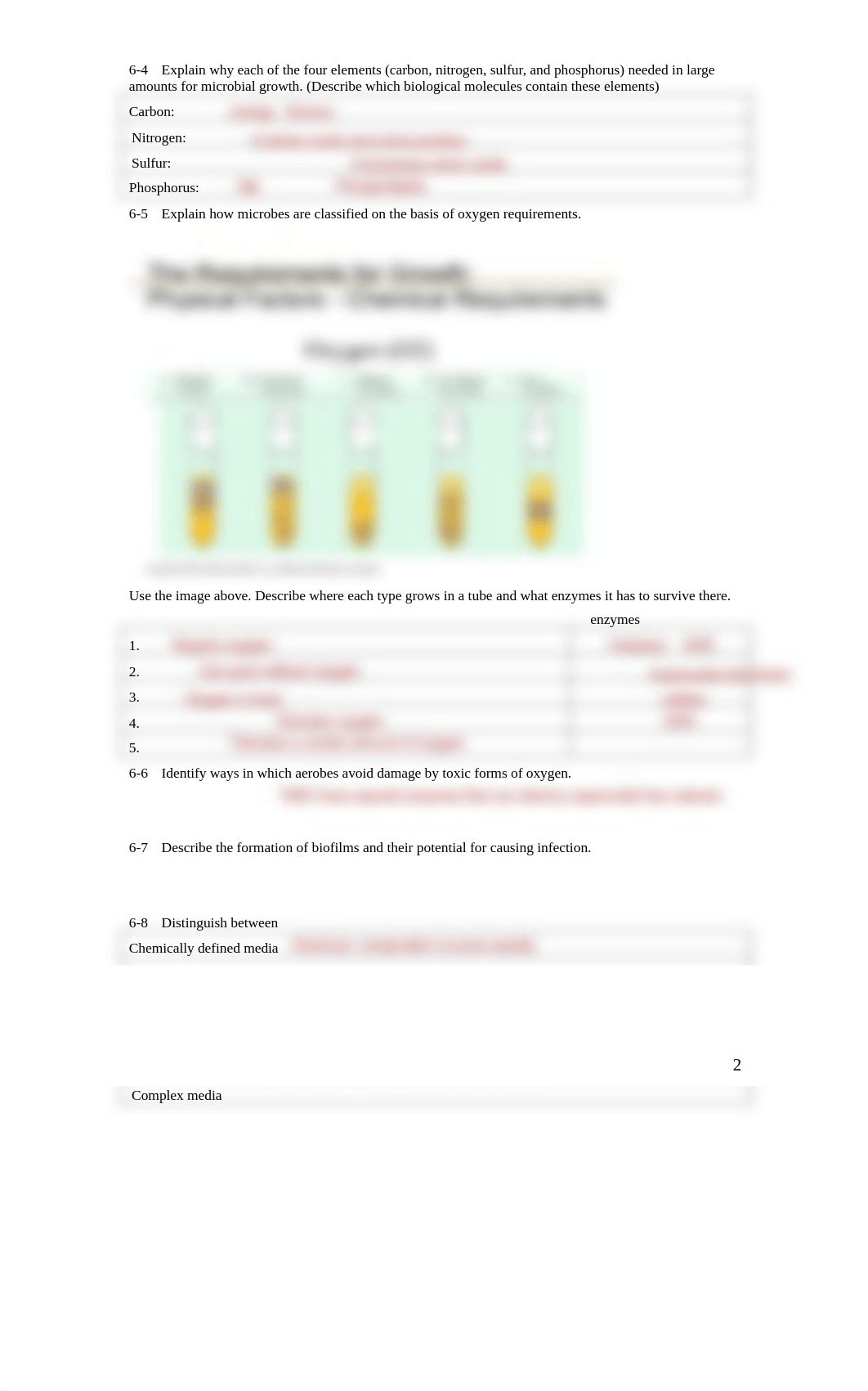 2019 MCBChapter 6 Study guide-1.pdf_d2xjk8keye7_page2