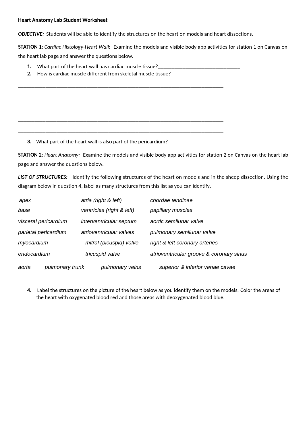 Online Heart Anatomy Lab Worksheet.docx_d2xlgr4fibw_page1