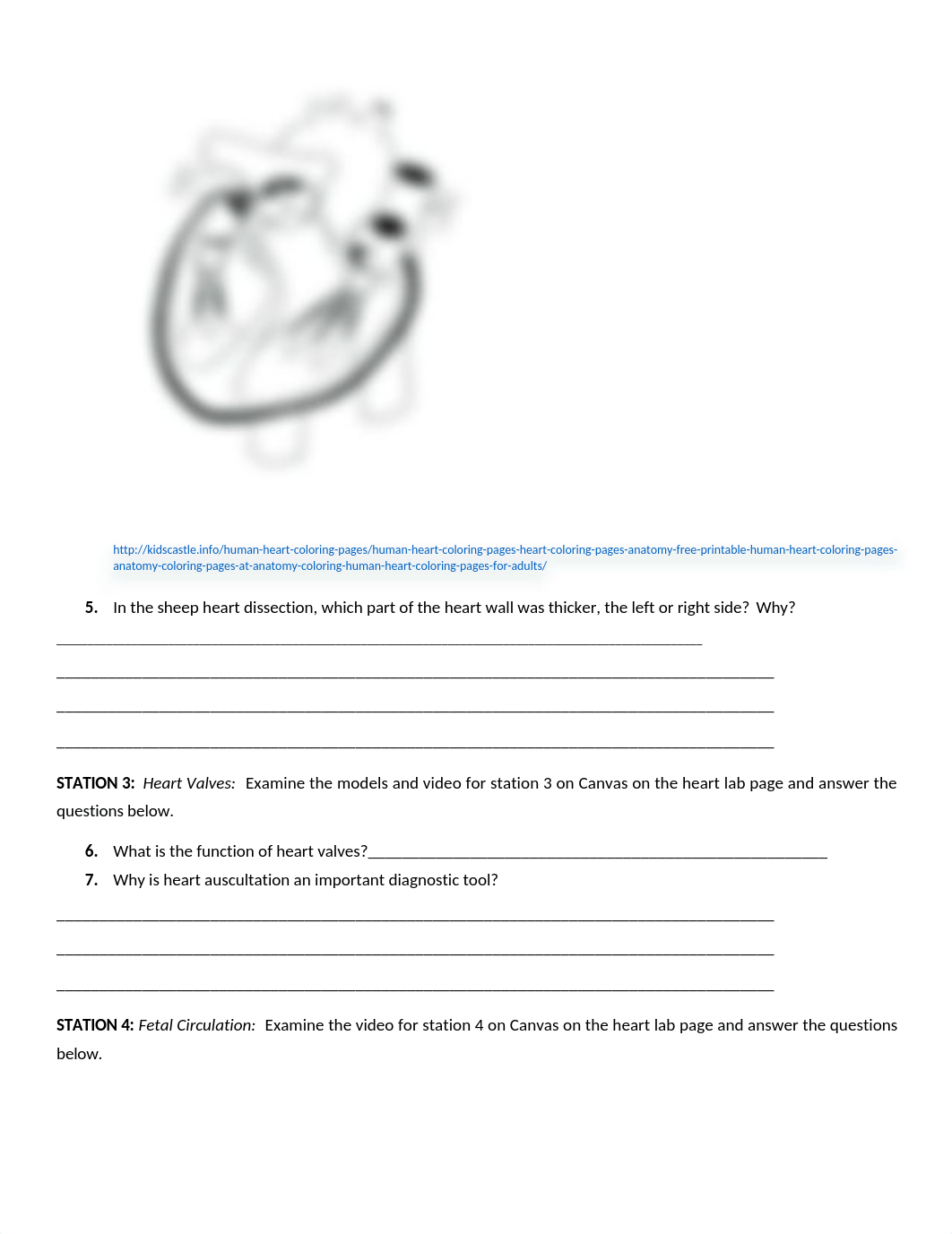 Online Heart Anatomy Lab Worksheet.docx_d2xlgr4fibw_page2