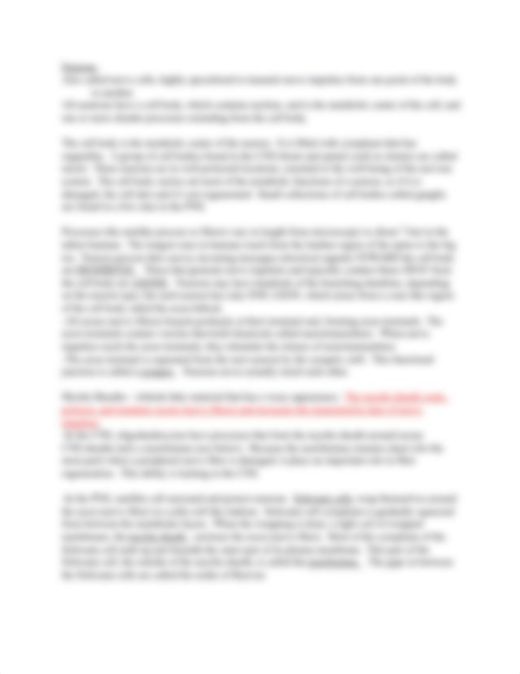 Chapter 7 The Nervous System (1).docx_d2xmou3rehd_page3