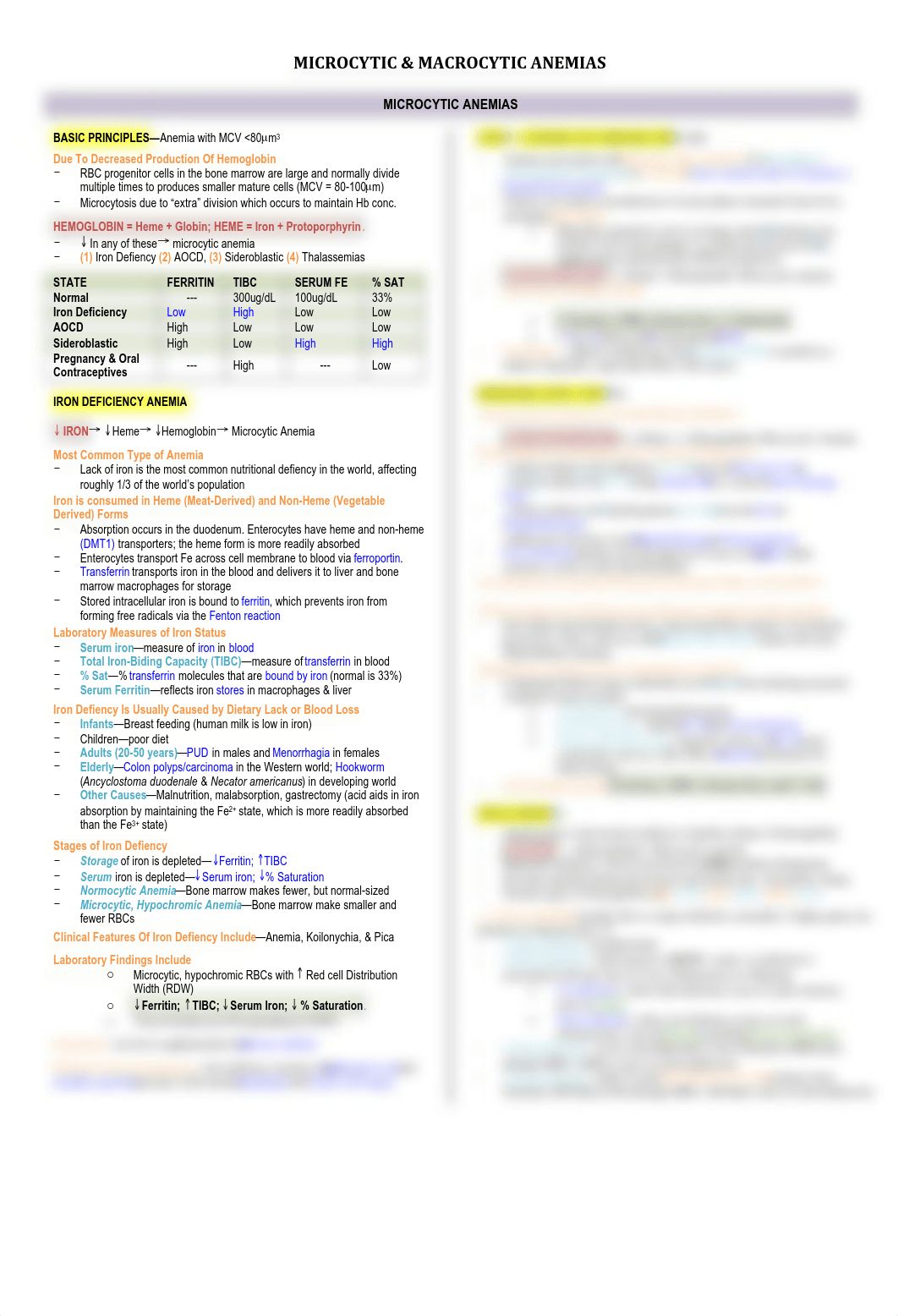 IM - Microcytic and Macrocytic Anemias - BL_d2xmsj2bzul_page1