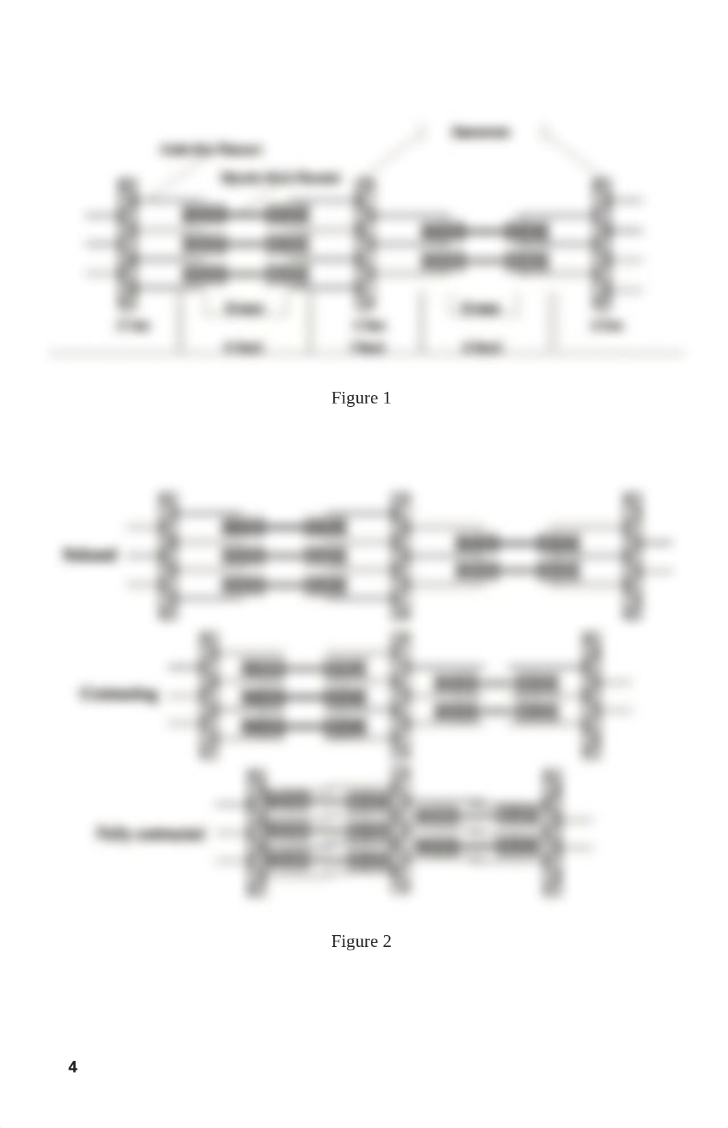 Muscle Lab (3).pdf_d2xq5uuuw2w_page4