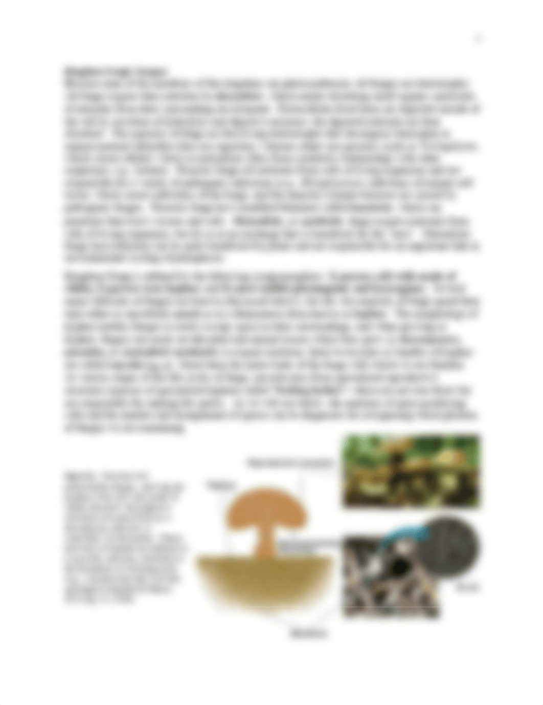 Biodiversity_Lab_7_Fungi (2).pdf_d2xq9sbmtrx_page2