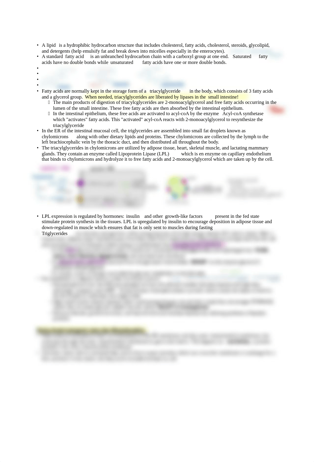 Fatty Acid Metabolism .pdf_d2y48brpgcf_page1