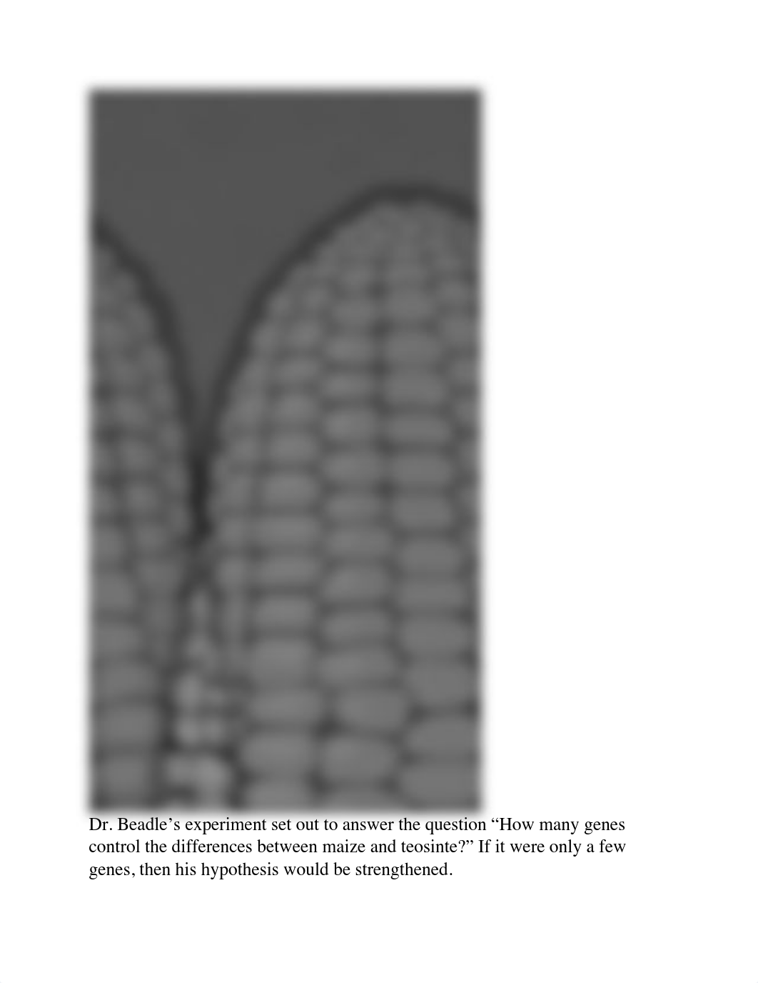 The Teosinte Hypothesis  .pdf_d2y920isxk1_page4