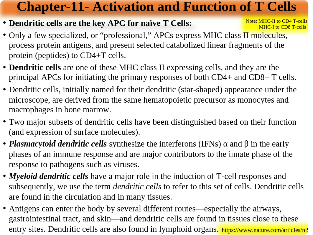 Lecture-4-Chapter-11- Activation and Function of T Cells, and Chapter-12- Cytokines(3).pptx_d2ydm3frlp3_page2