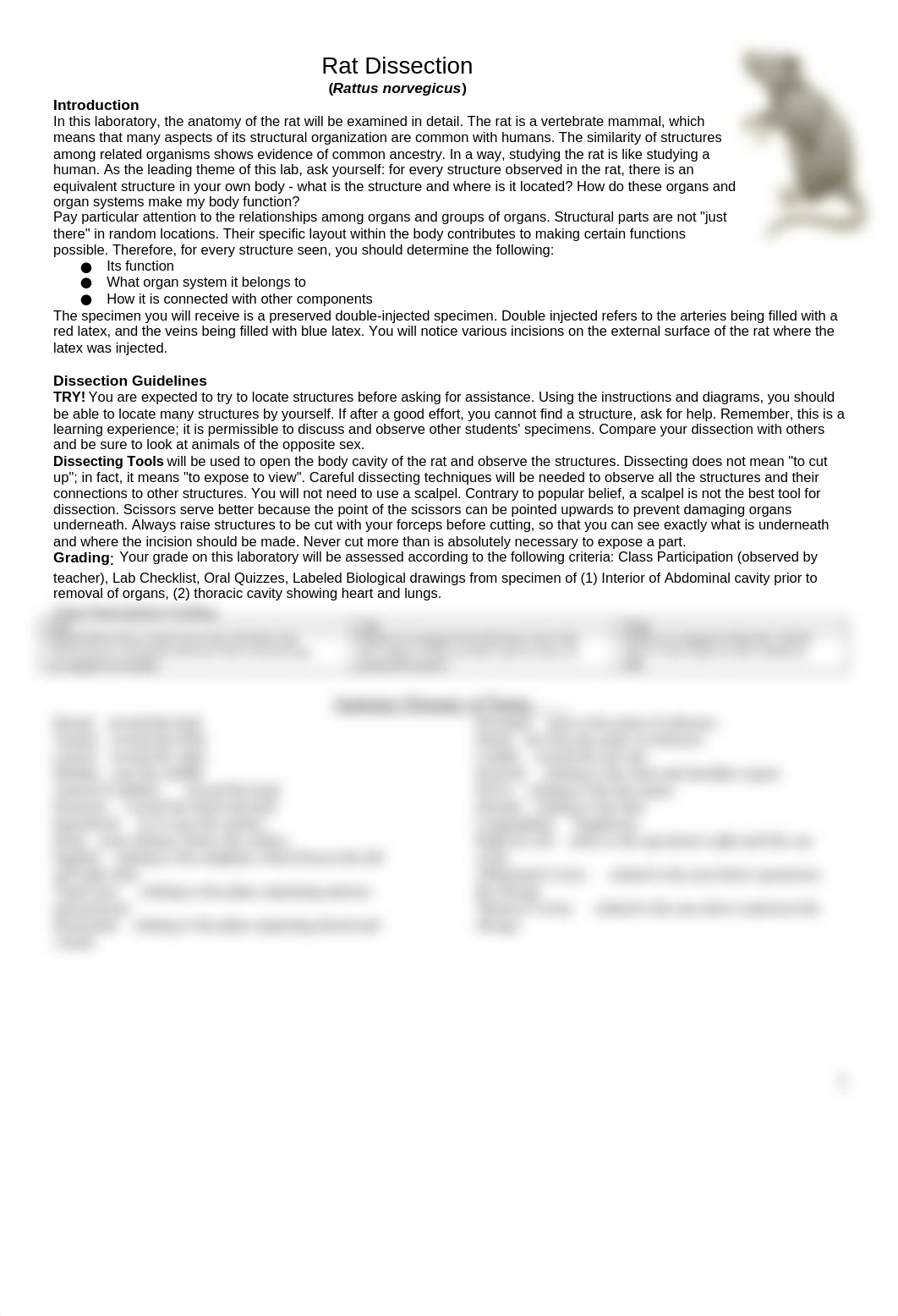 Dissection_of_the_Rat.docx_d2yfnzoxk22_page1