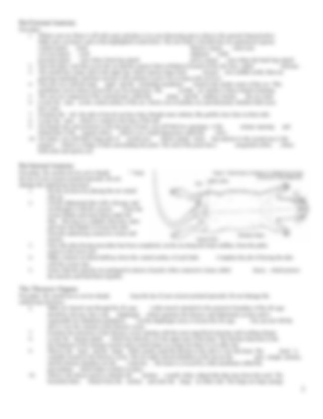 Dissection_of_the_Rat.docx_d2yfnzoxk22_page2