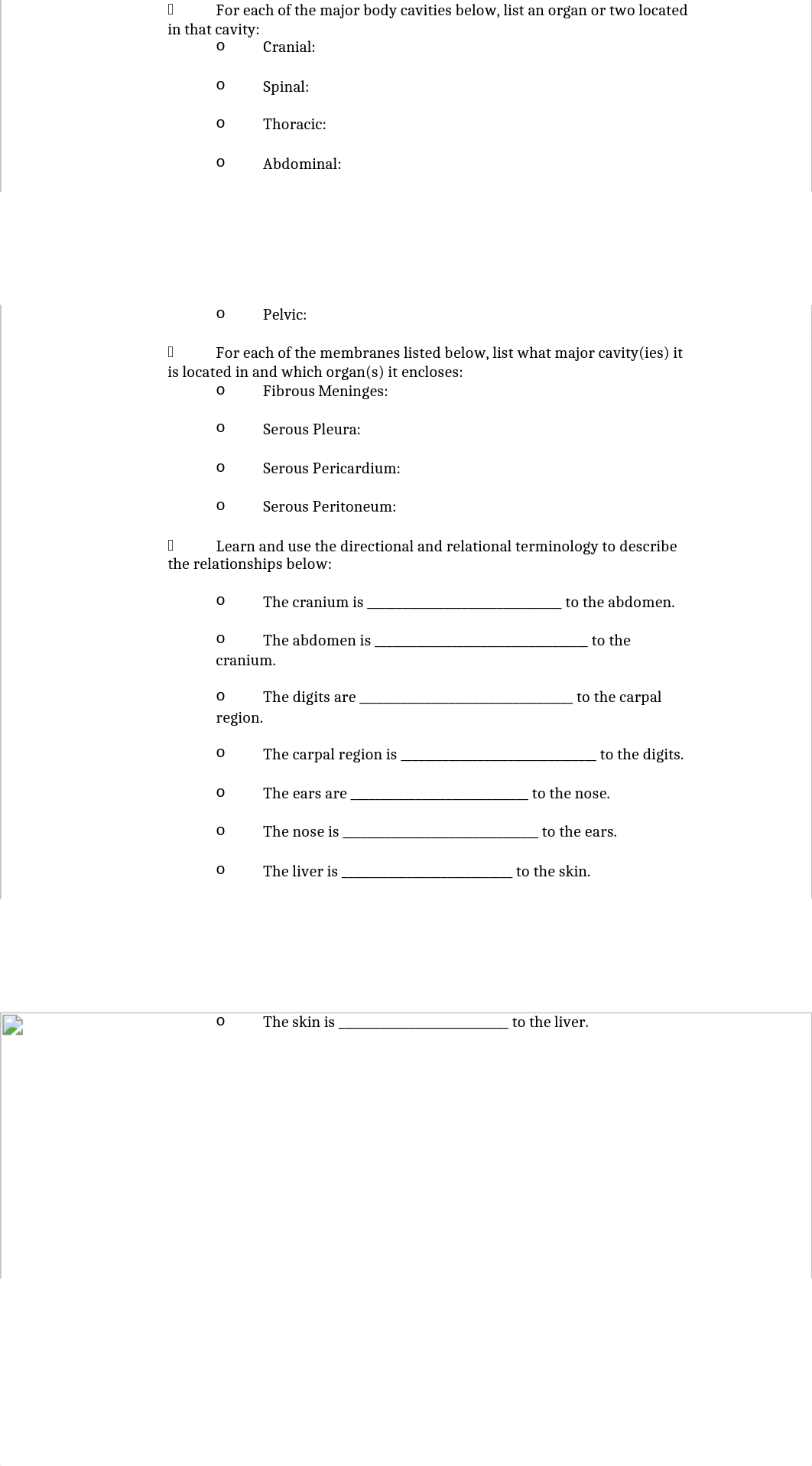 BIO-141-Lecture-Exam-1-Study-Guide-Part-1.rtf_d2yicycftsc_page2