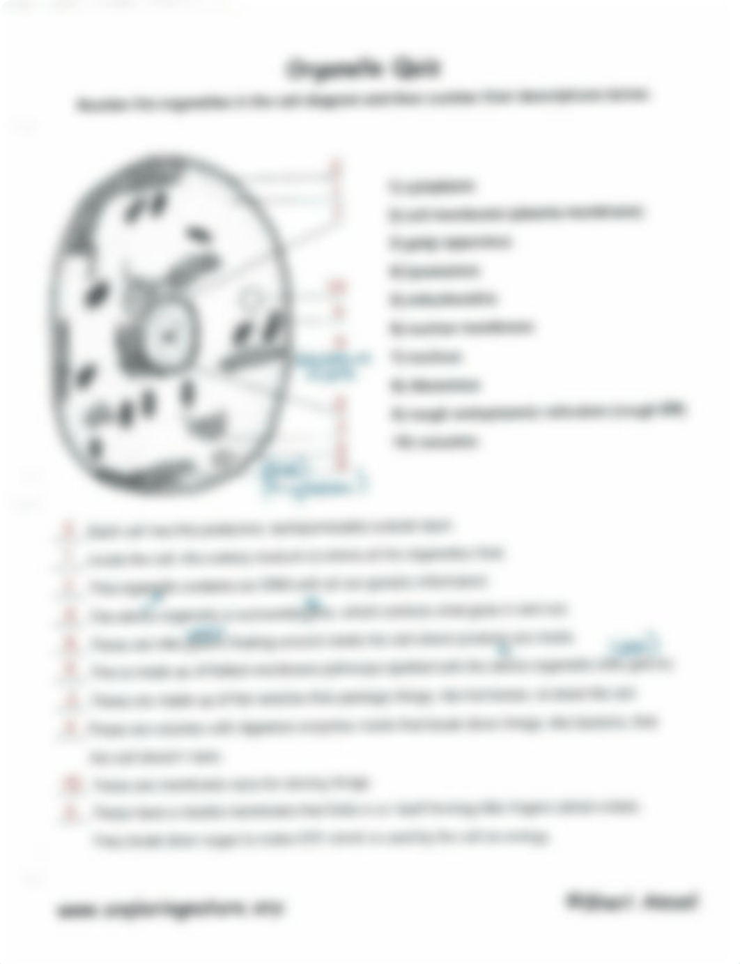 Cell organelles  quiz answers_d2yn0njf26e_page1