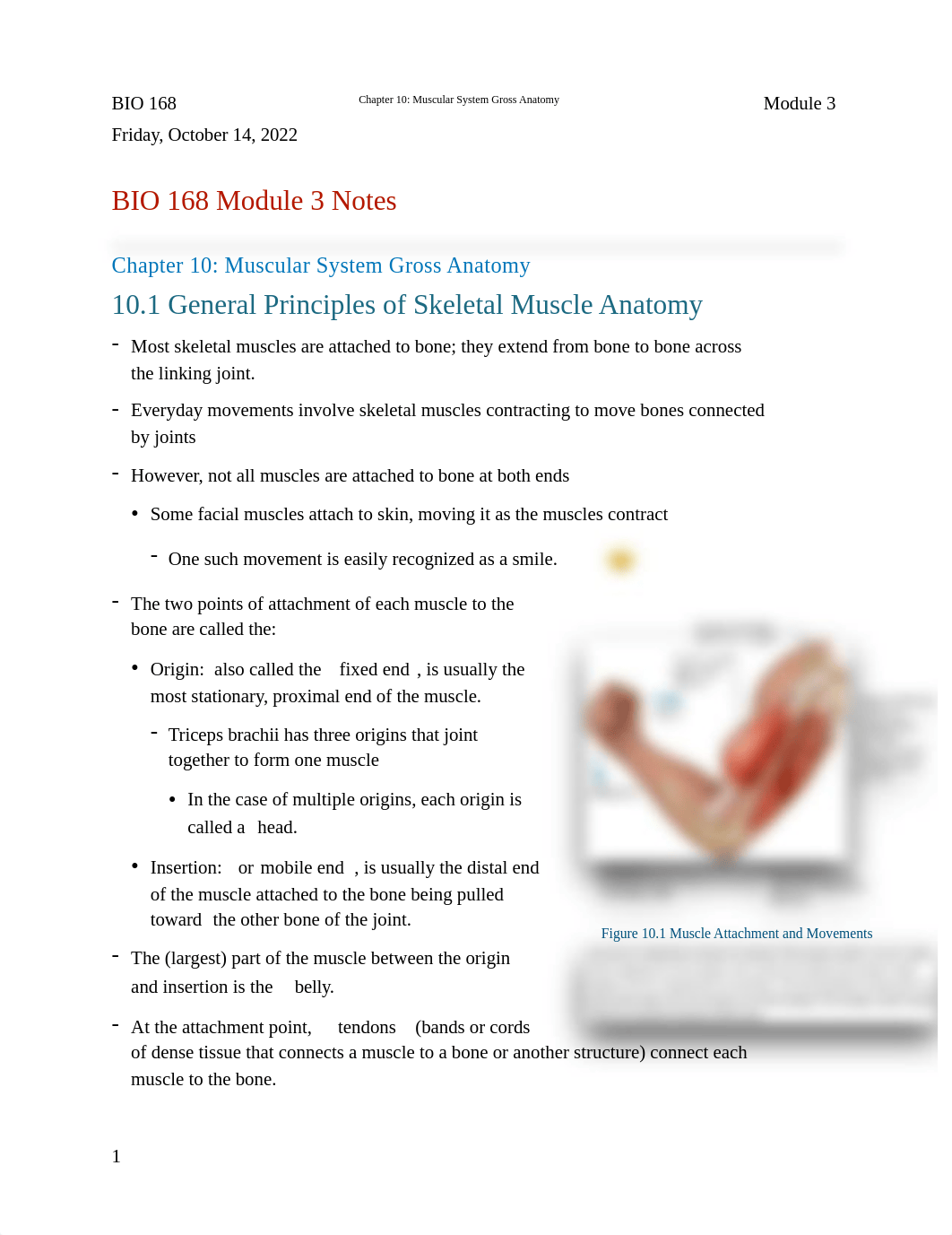 BIO 168 Module 3 Notes Chapter 10: Muscular System Gross Anatomy .pdf_d2ynzsolos4_page1